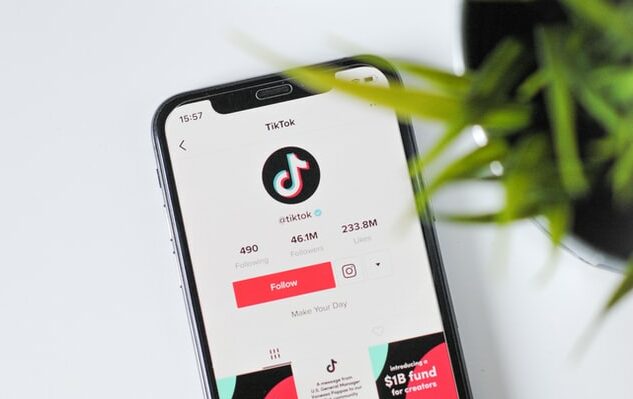 How to download private videos from TikTok