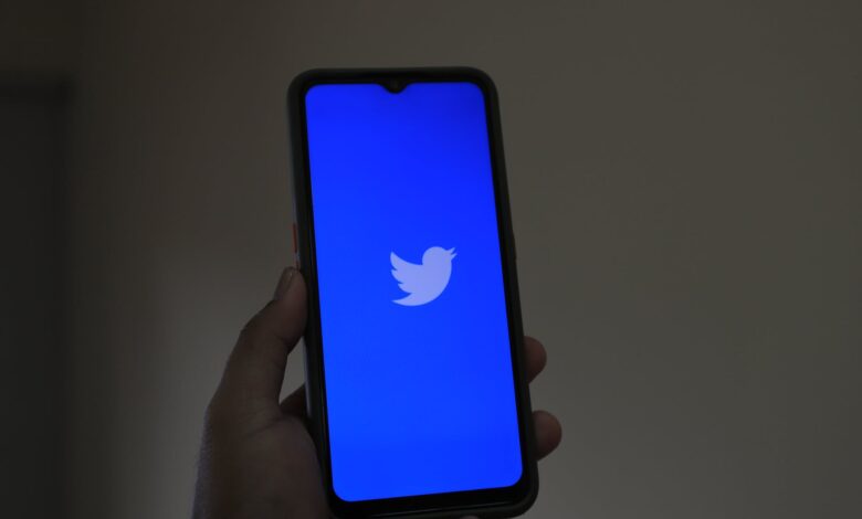 person holding a phone displaying twitter app